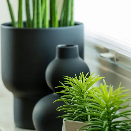 Nummer Eins - Hufnagel *