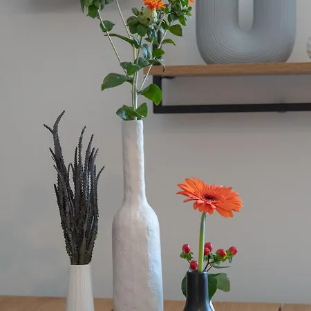 Apartman Nummer Eins - Hufnagel *