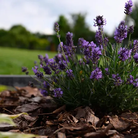 Nummer Eins - Hufnagel Apartman Bodenwerder
